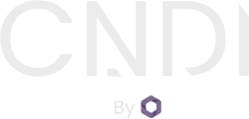 CNDI by Polyseam Logo
